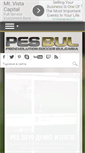 Mobile Screenshot of pes-bulgaria.com